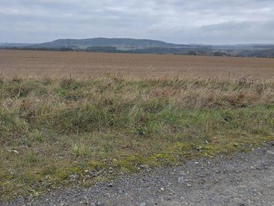 Tam na ten kopec vyjdeme,ale ještě to nevíme.....