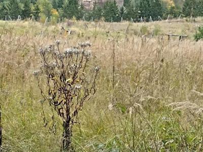 Už je konečně vidět